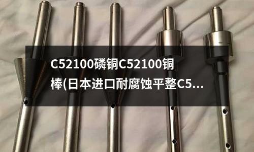 C52100磷銅C52100銅棒(日本進口耐腐蝕平整C5191磷銅板)