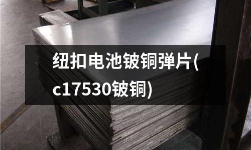 紐扣電池鈹銅彈片(c17530鈹銅)