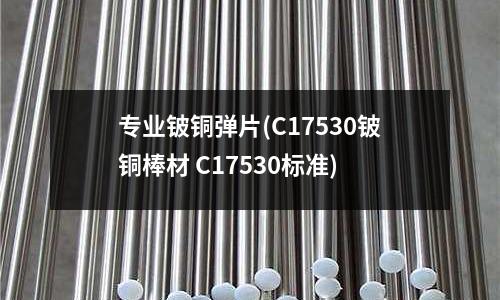 專業鈹銅彈片(C17530鈹銅棒材 C17530標準)