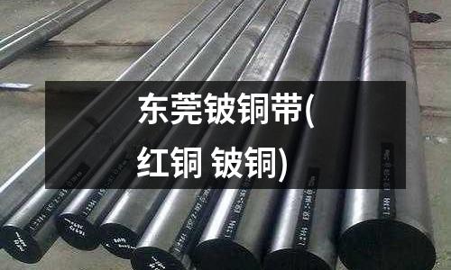 東莞鈹銅帶(紅銅 鈹銅)