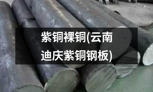 紫銅裸銅(云南迪慶紫銅鋼板)