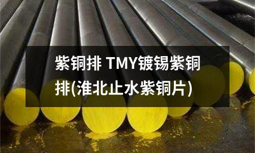 紫銅排 TMY鍍錫紫銅排(淮北止水紫銅片)