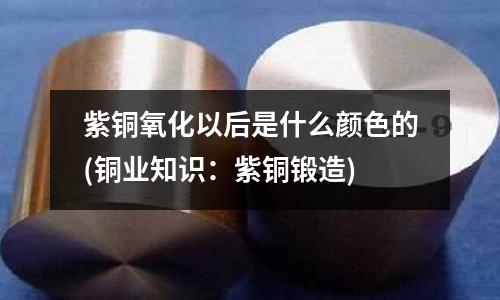 紫銅氧化以后是什么顏色的(銅業(yè)知識(shí):紫銅鍛造)