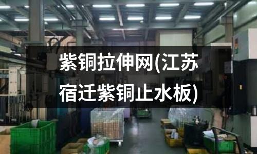 紫銅拉伸網(江蘇宿遷紫銅止水板)