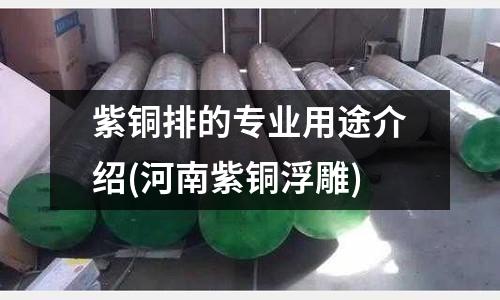 紫銅排的專業(yè)用途介紹(河南紫銅浮雕)