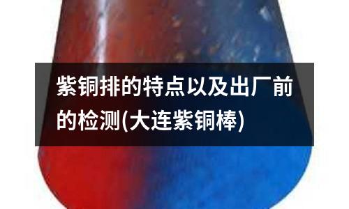 紫銅排的特點(diǎn)以及出廠前的檢測(cè)(大連紫銅棒)