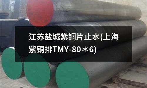 江蘇鹽城紫銅片止水(上海紫銅排TMY-80＊6)