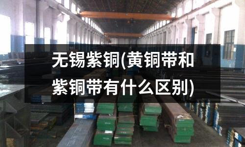 無錫紫銅(黃銅帶和紫銅帶有什么區別)