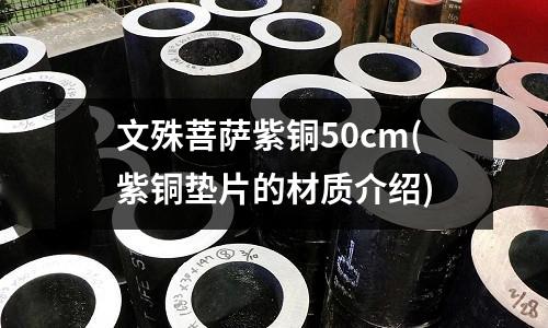 文殊菩薩紫銅50cm(紫銅墊片的材質介紹)