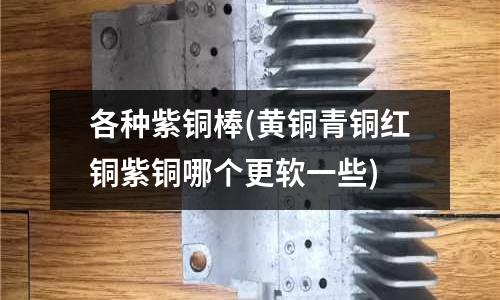 各種紫銅棒(黃銅青銅紅銅紫銅哪個(gè)更軟一些)