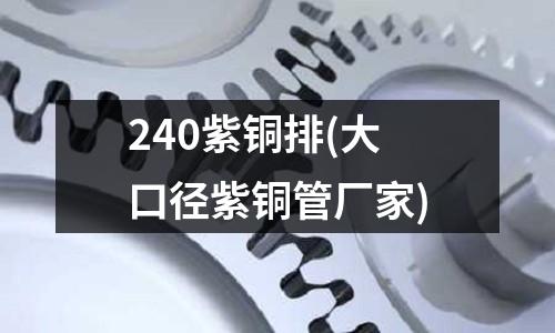 240紫銅排(大口徑紫銅管廠家)