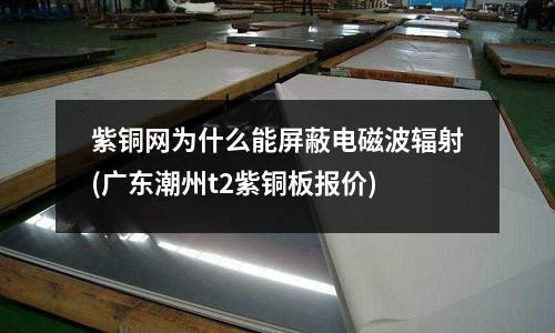 紫銅網為什么能屏蔽電磁波輻射(廣東潮州t2紫銅板報價)