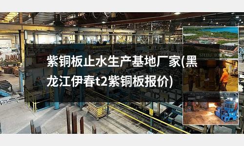 紫銅板止水生產基地廠家(黑龍江伊春t2紫銅板報價)