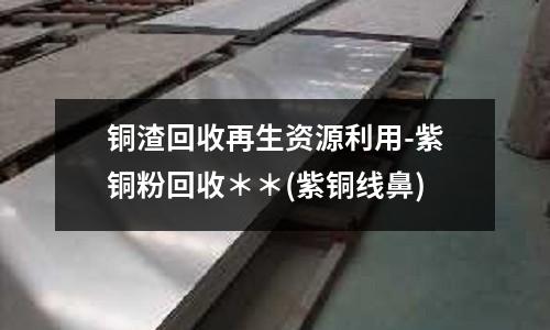 銅渣回收再生資源利用-紫銅粉回收＊＊(紫銅線鼻)