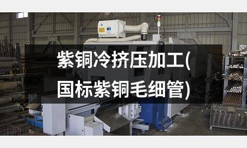 紫銅冷擠壓加工(國標紫銅毛細管)