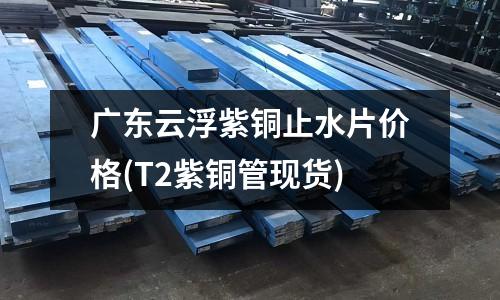 廣東云浮紫銅止水片價格(T2紫銅管現貨)