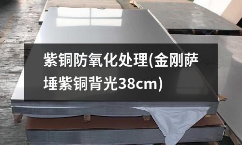 紫銅防氧化處理(金剛薩埵紫銅背光38cm)