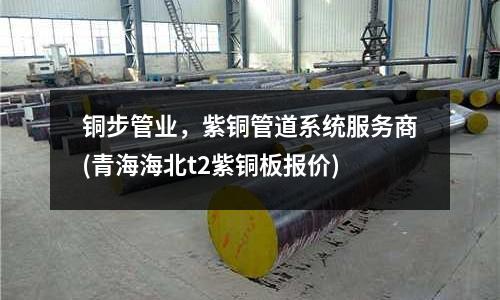 銅步管業，紫銅管道系統服務商(青海海北t2紫銅板報價)