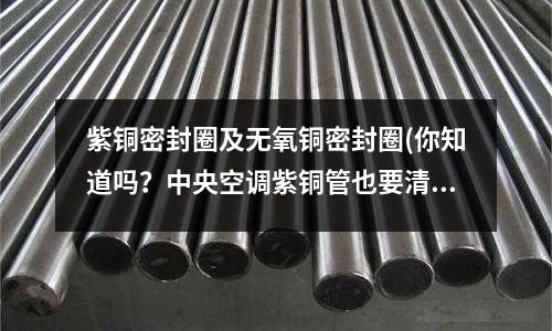 紫銅密封圈及無氧銅密封圈(你知道嗎?中央空調紫銅管也要清洗!)