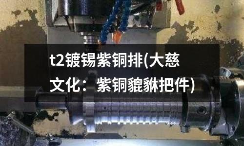 t2鍍錫紫銅排(大慈文化:紫銅貔貅把件)