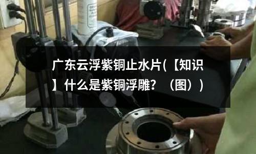 廣東云浮紫銅止水片(【知識】什么是紫銅浮雕？（圖）)