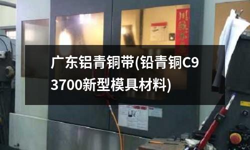 廣東鋁青銅帶(鉛青銅C93700新型模具材料)