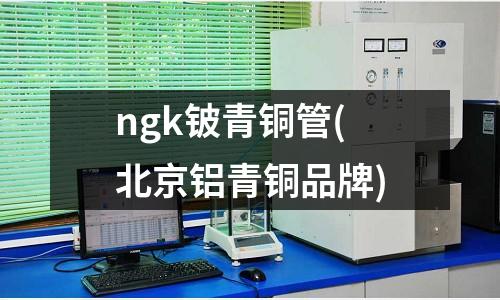 ngk鈹青銅管(北京鋁青銅品牌)
