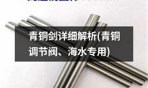 青銅劍詳細解析(青銅調節(jié)閥、海水專用)