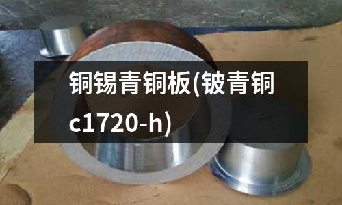 銅錫青銅板(鈹青銅c1720-h)