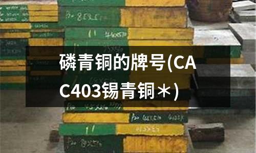 磷青銅的牌號(CAC403錫青銅＊)