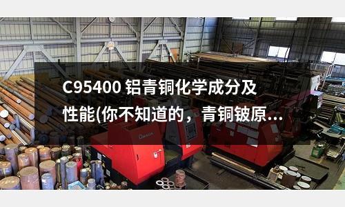 C95400 鋁青銅化學(xué)成分及性能(你不知道的,青銅鈹原來長這樣)