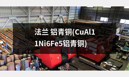 法蘭 鋁青銅(CuAl11Ni6Fe5鋁青銅)
