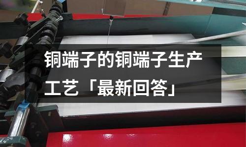 銅端子的銅端子生產工藝「最新回答」