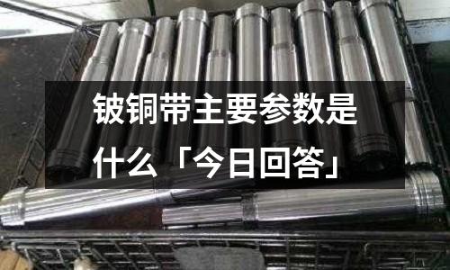 鈹銅帶主要參數是什么「今日回答」