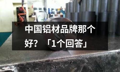 中國鋁材品牌那個好?「1個回答」