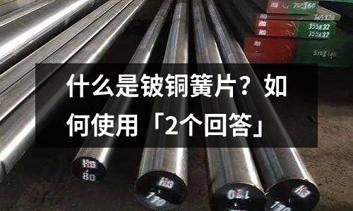 什么是鈹銅簧片？如何使用「2個回答」