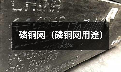 磷銅網（磷銅網用途）