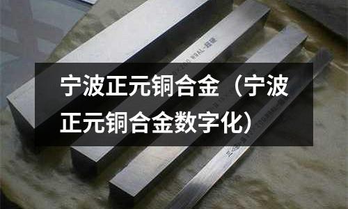 寧波正元銅合金（寧波正元銅合金數(shù)字化）