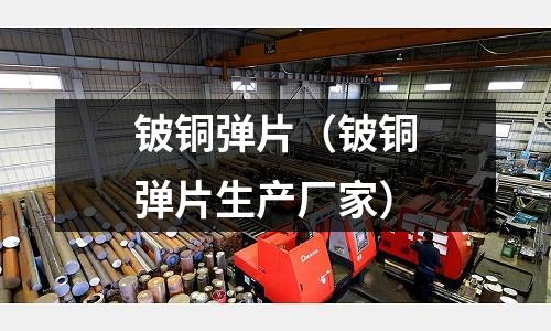 鈹銅彈片(鈹銅彈片生產(chǎn)廠家)