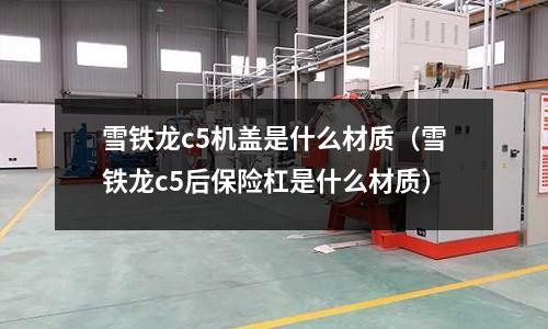 雪鐵龍c5機蓋是什么材質（雪鐵龍c5后保險杠是什么材質）