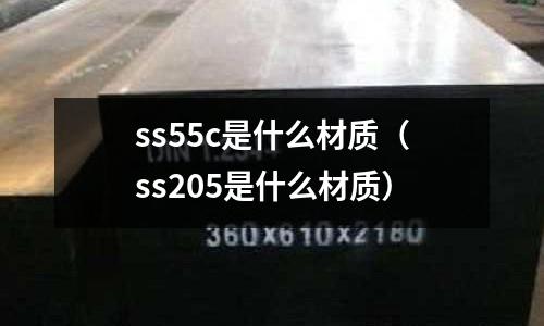 ss55c是什么材質（ss205是什么材質）