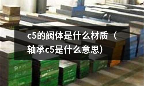 c5的閥體是什么材質（軸承c5是什么意思）