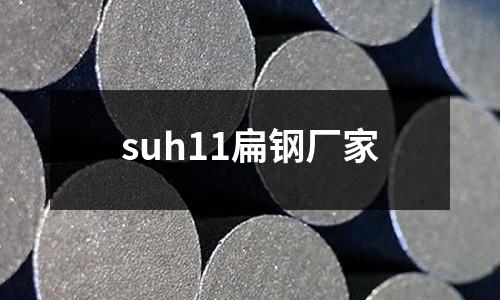suh11扁鋼廠家