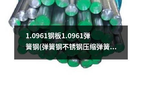 1.0961鋼板1.0961彈簧鋼(彈簧鋼不銹鋼壓縮彈簧)