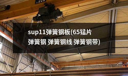 sup11彈簧鋼板(65錳片彈簧鋼 彈簧鋼線 彈簧鋼帶)