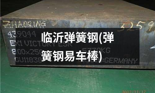 臨沂彈簧鋼(彈簧鋼易車棒)