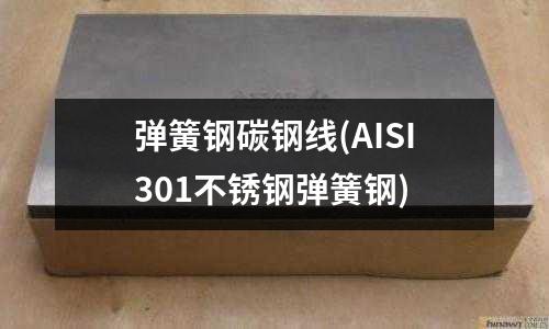 彈簧鋼碳鋼線(AISI301不銹鋼彈簧鋼)