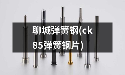 聊城彈簧鋼(ck85彈簧鋼片)