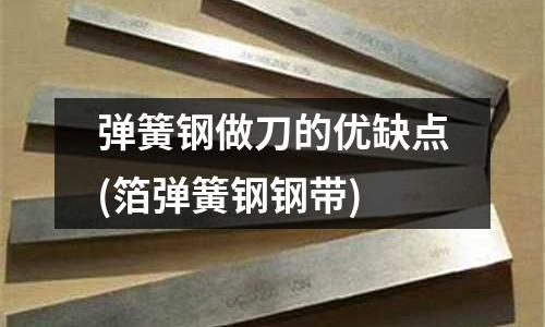 彈簧鋼做刀的優缺點(箔彈簧鋼鋼帶)