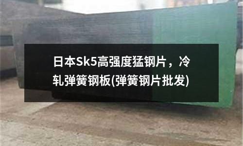 日本Sk5高強度猛鋼片，冷軋彈簧鋼板(彈簧鋼片批發(fā))